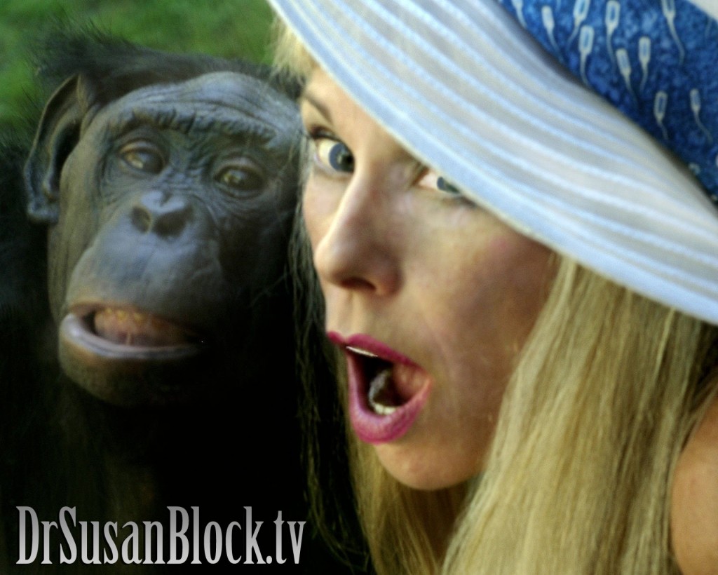Bonobo Dr Susan Block