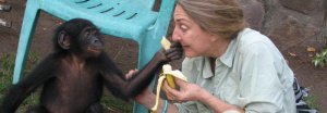 BCI Director Sally Coxe shares a banana with a bonobo